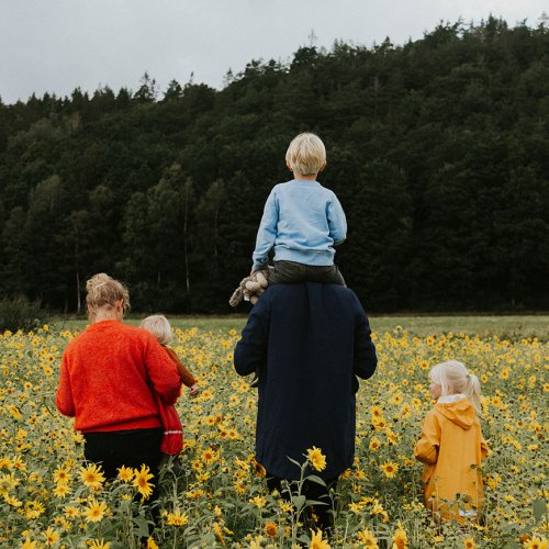 En familj med mamma, pappa och tre barn går i ett solrosfält.